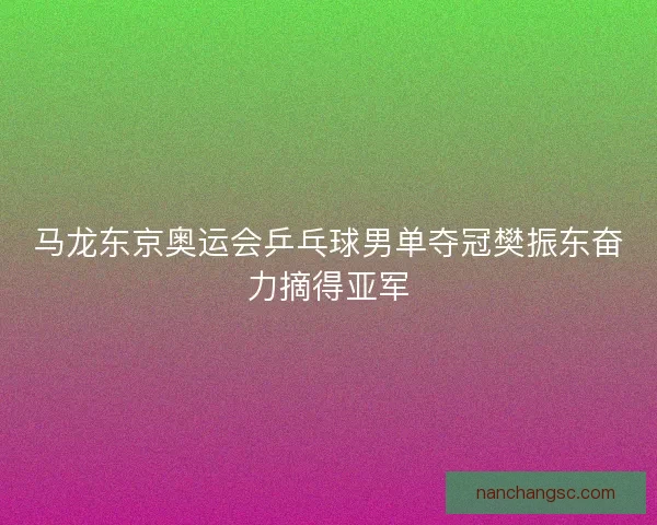 马龙东京奥运会乒乓球男单夺冠樊振东奋力摘得亚军