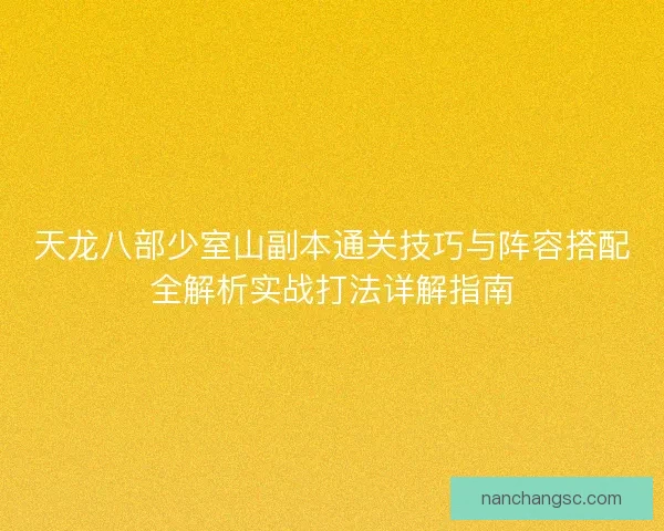 天龙八部少室山副本通关技巧与阵容搭配全解析实战打法详解指南